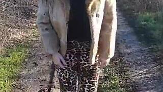 i would like to go shopping with you and be grateful