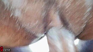 swollen pussy drilled by bbc