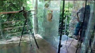 Labirintos e glory holes no centro de porto alegre
