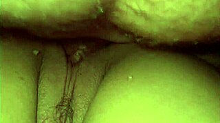 Shaved Pussy