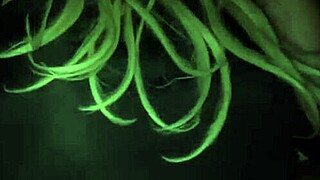 Real amateur footage captured in everyday situations