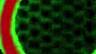 Busty spolužiačky Sara Jay sa ponoria do svojich prirodzených cicí. Ich veľké pysky pičky dostanú pozornosť v parnej muff diving relácii