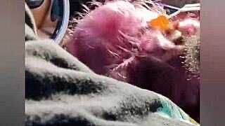 Sexig milf riskerar att bli upptäckt när hon suger stor svart kuk på parkeringen