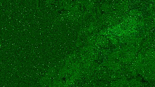 čůrala do kalhot a dostala zlatou sprchu na obličej a ústa při koupání