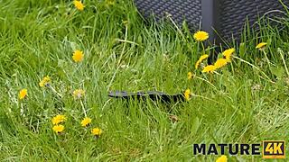 ماتور4ك: إغراء صامت! اشتهِ صدر كبير لهذه القطة في جوارب الآن!