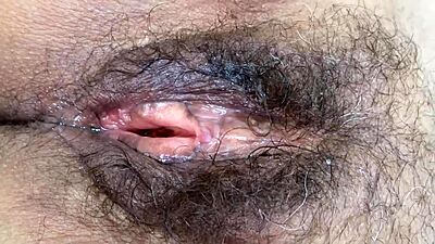 fappis.com