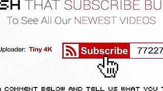 Kızıl Saçlı Kadın Dev Siklerle Çılgın Üçlüde Çoklu Yüz Boşalması İçin Yalvarıyor