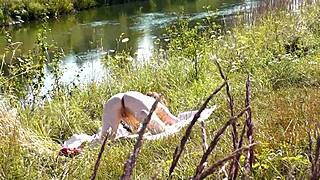 Hé, tu veux voir ce que j'ai chopé ? Une MILF nue qui bronze sur la berge de la rivière !