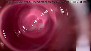 내 야한 크리미 보지에 카메라 넣어 클로즈업 청년 롤플레이