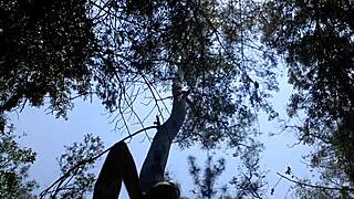 Соси этот мексиканский член, потом трахай мою жопу на публике!