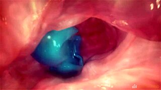 橙色狐狸2展开狂野秘密，由cakeinferno