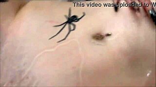 tokyo diamond goonează ca soră vitregă goth