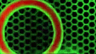 Ruskeatukkainen narttu Lauren Phillips kiusoittelee isoja tissejä ja masturboi yksin