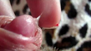 Posnetek iz bližine velikega klitorisa med orgazmom v podrobnem pogledu